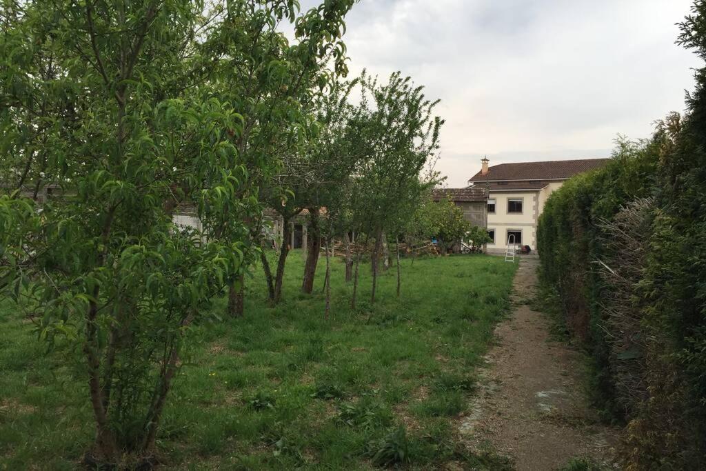 Casa Do Carballal Pontecesures 외부 사진